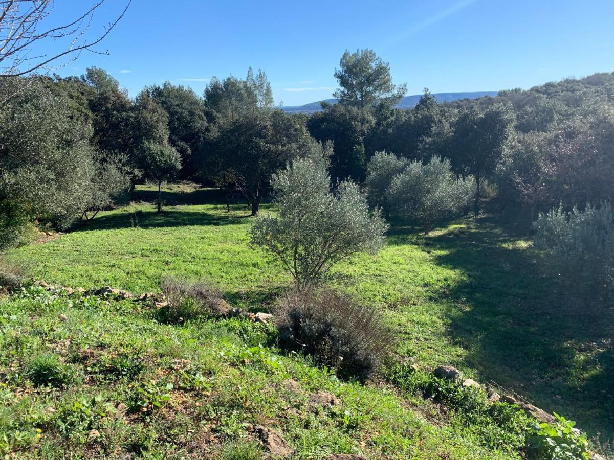 Bed and Breakfast Les Terrasses Des Gardies Pignan Exterior foto